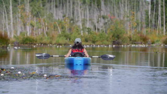 Pinelands Adventures