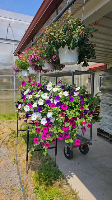 Bill Weber's Greenhouse & Farm Market