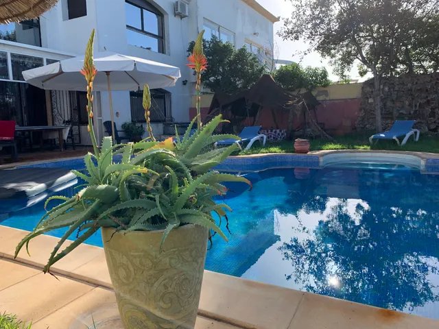 Aux Moules de Harhoura