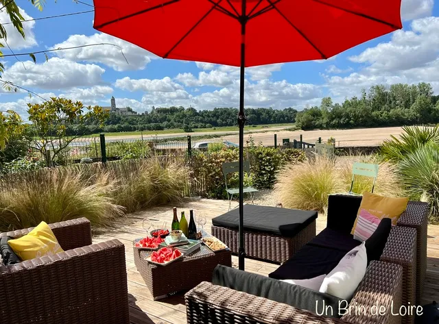 Gîte Un Brin de Loire (fermé définitivement. RDV sur notre autre gîte Loirizon à Ingrandes-Le Fresne sur Loire )