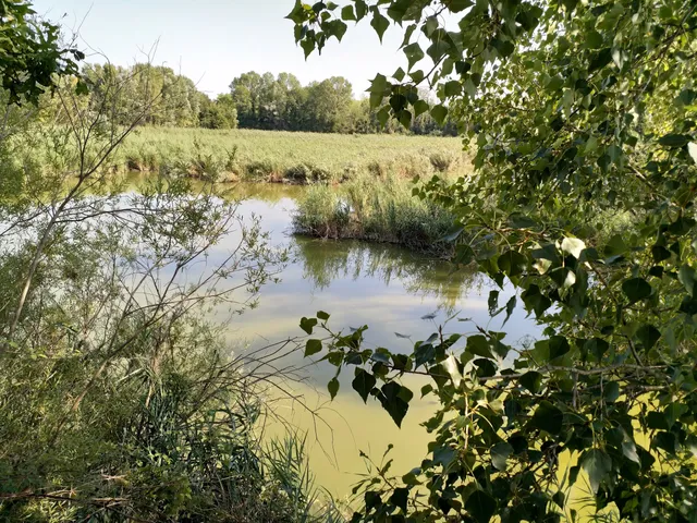 Oasi Di Noale (Ingresso)