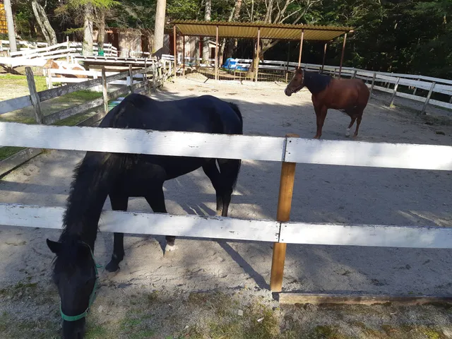 Minogahara Forest Park