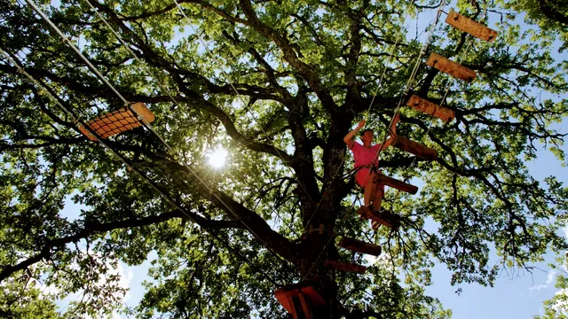 Figeac Parc Aventures