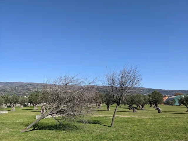 Parco Peppino Impastato