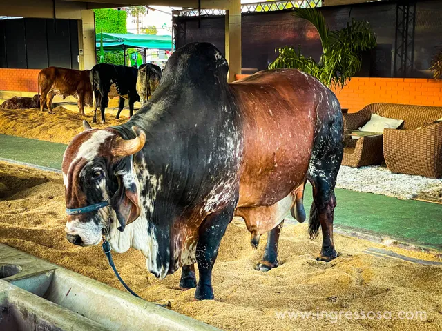 Sociedade Goiana de Pecuária e Agricultura - SGPA