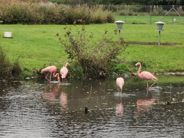 Kurpark Reinhardshausen