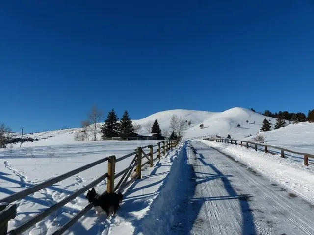 Bridger Bowl Ski Area