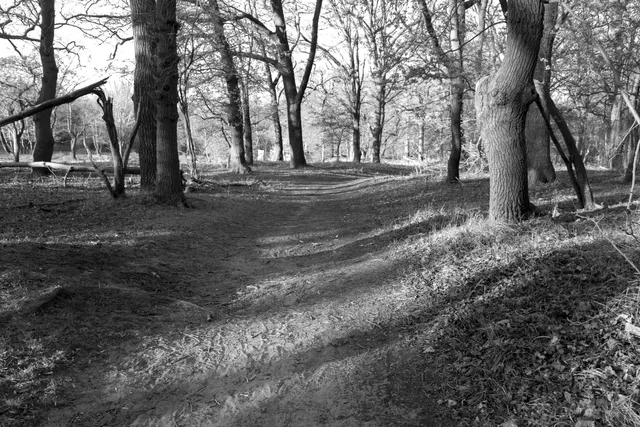 Heerenduinen, Nationaal Park Zuid Kennemerland