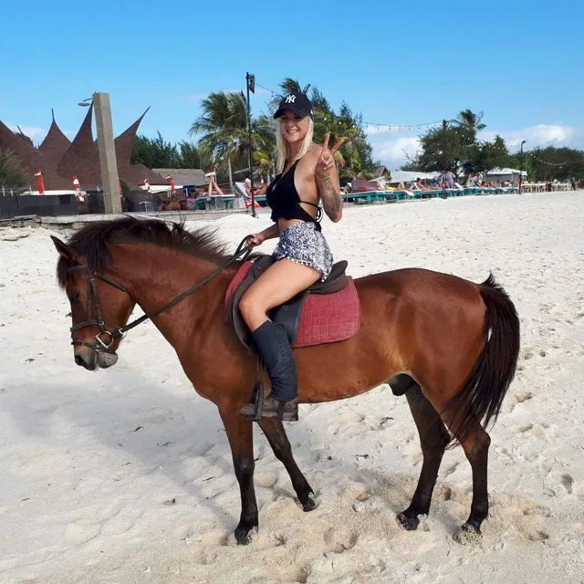 Stud Horse Riding and Rescue