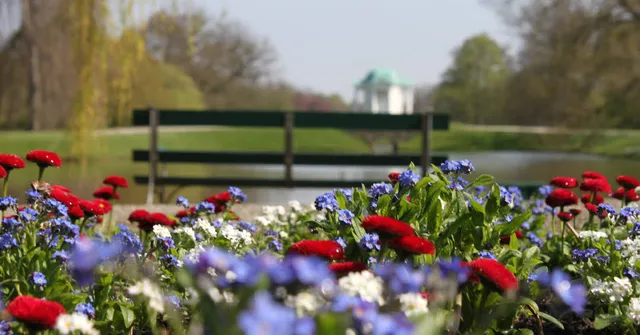 Blumeninsel Siebenbergen