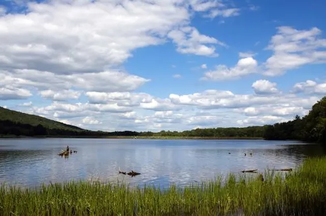 Locust Lake State Park