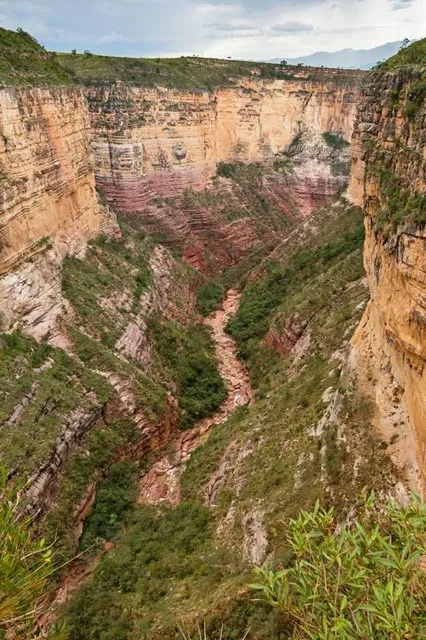 photo-3