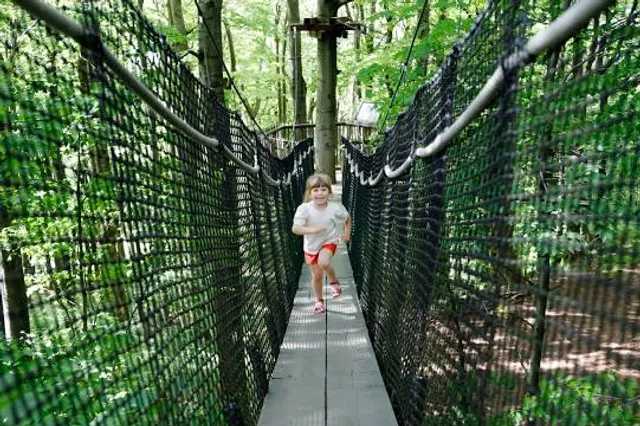 Treetop Trekking Brampton