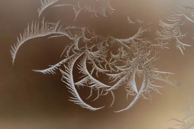 Patricia and Phillip Frost Art Museum