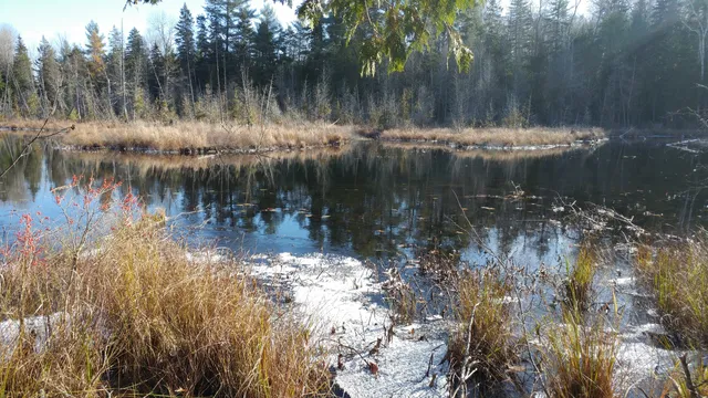 McGeachie Conservation Area