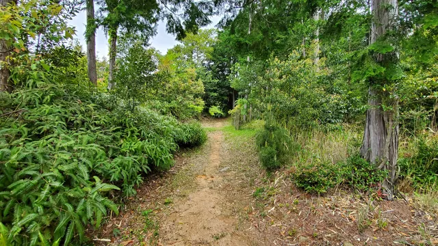 Site of Chikusa Castle