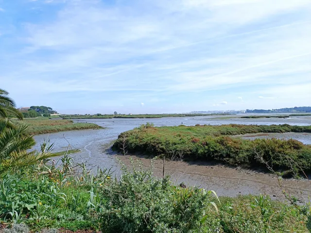 Parque Urbano de Miratejo