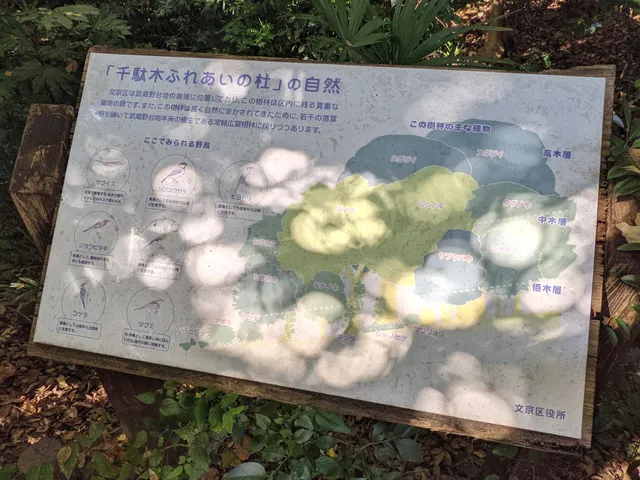 Sendagi Fureai-no-mori