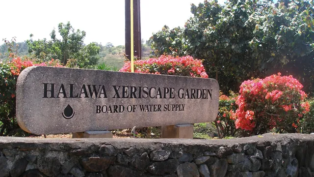 Hālawa Xeriscape Garden