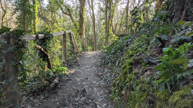 Bohemia Walled Garden