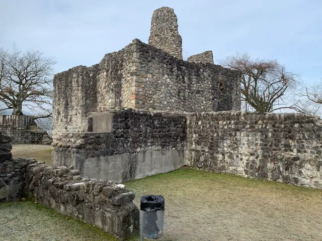 Ruins of Alt-Regensberg Castle