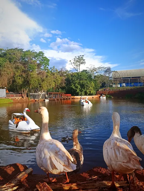Lago do Parque Ouro Branco