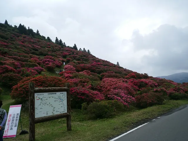 photo-3