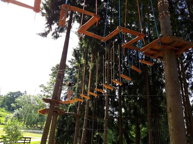 Bedřichov High Ropes Park