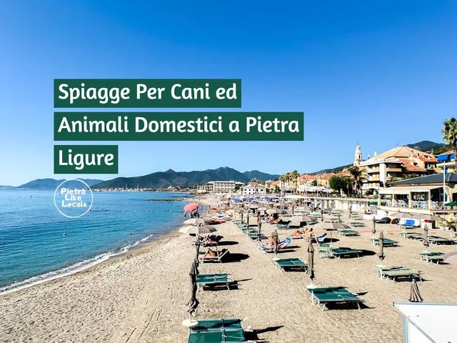 Spiaggia attrezzata per cani