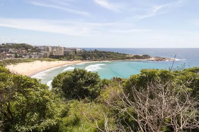 Freshwater View Reserve