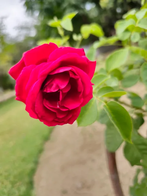 Shaheed Bhagat Singh Park