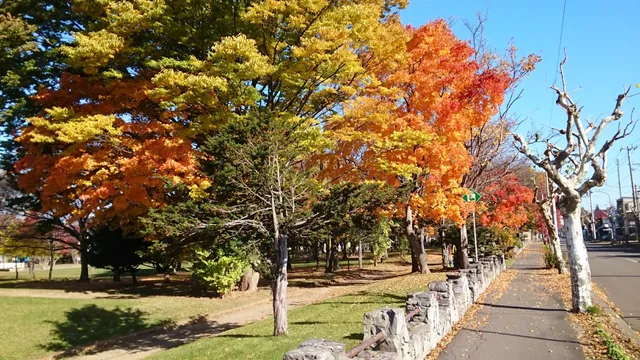 Oasahigashi Park