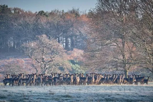 Parham House & Gardens