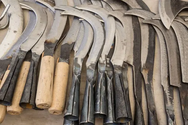 Diocletians Dream (VR Experience)