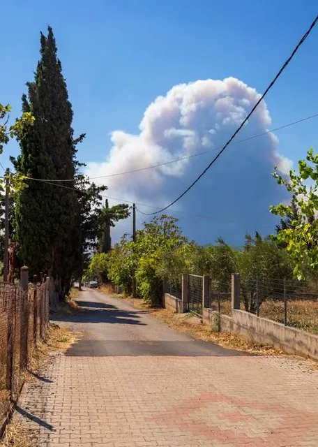 Arsoun Village Forest Adventure Park