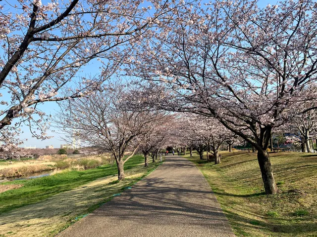 Hikichigawa Water Park (wet Botanical Gardens)