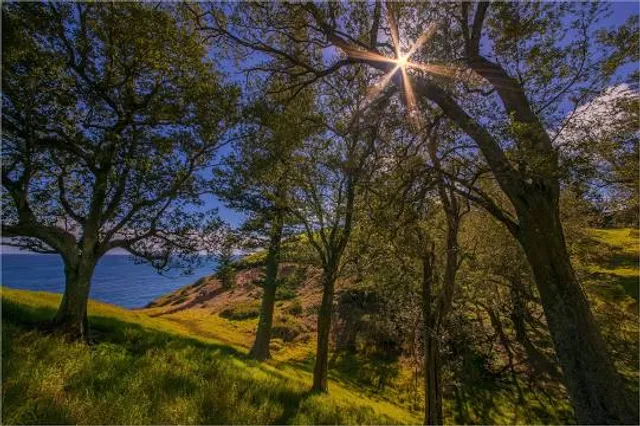 Quiet Valley Living Historical Farm