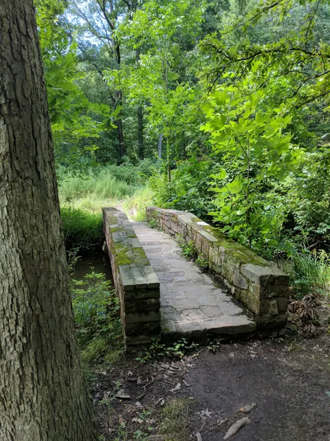 Billy Johnson Mountain Lakes Nature Preserve