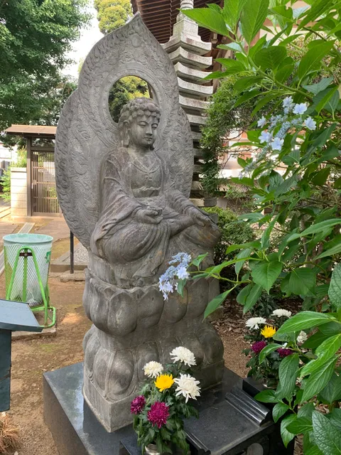 photo-1