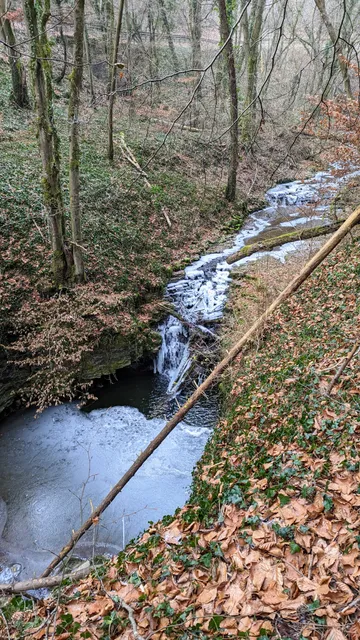 Traumschleife Palmberg Ahn