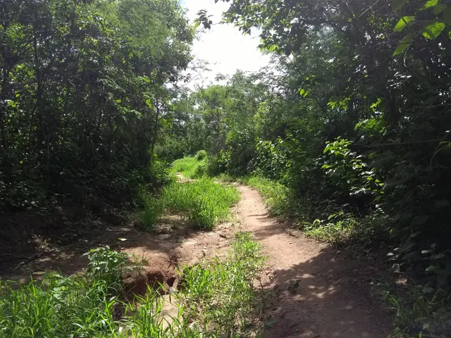 Park of the Pterosaurs