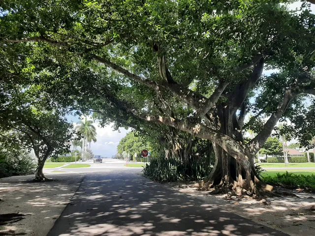 Banyan Street, Boca Grande
