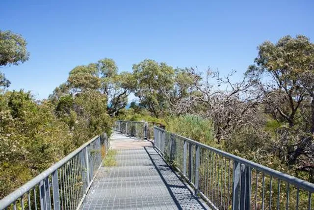 Reabold Hill Summit Lookout