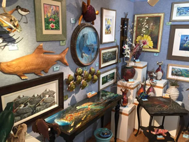 Jungle Drums Gallery