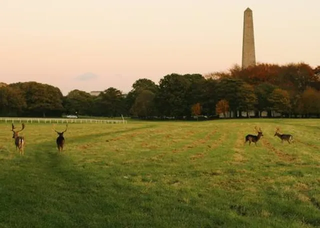 Phoenix Park