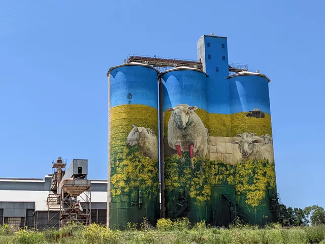 Merriwa Silo Art