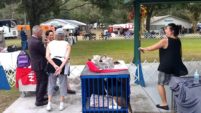 Greater Ocala Dog Club Inc. - Show Grounds