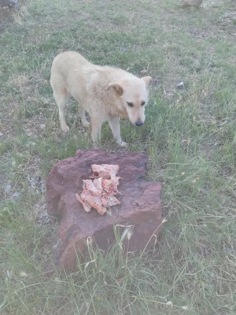 photo-2