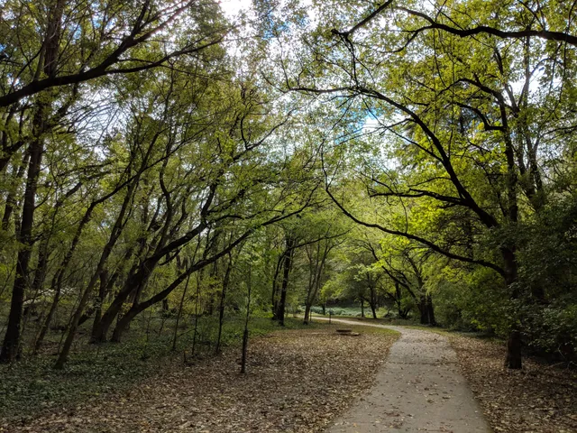 Willard Avenue Neighborhood Park