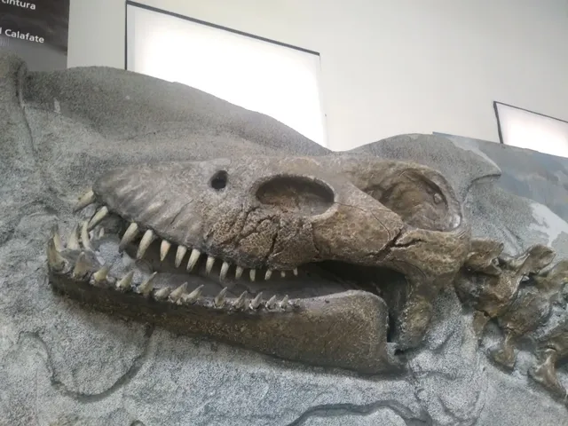 Museo Regional Provincial "Padre Jesus Molina"